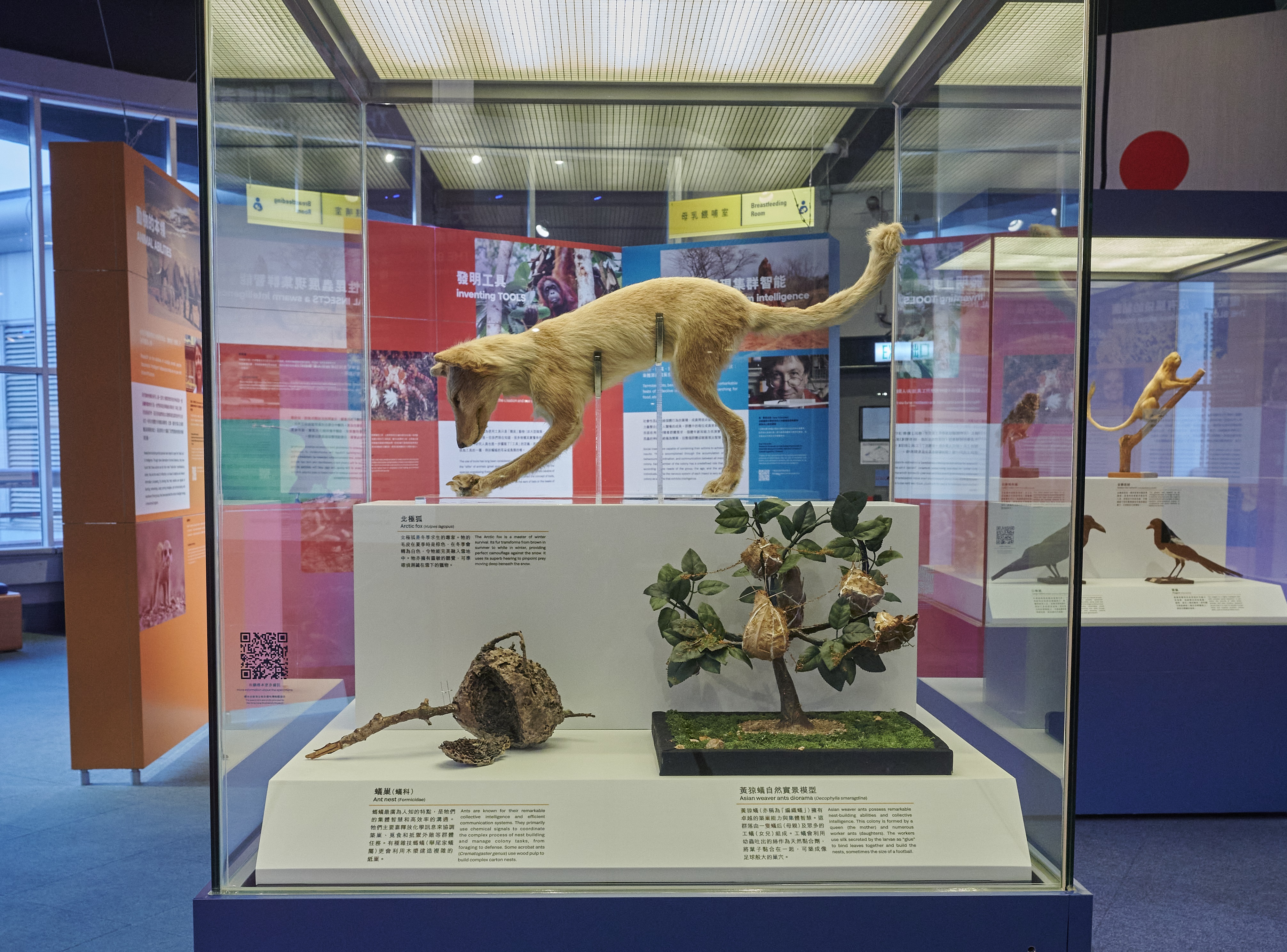 French Science Festival