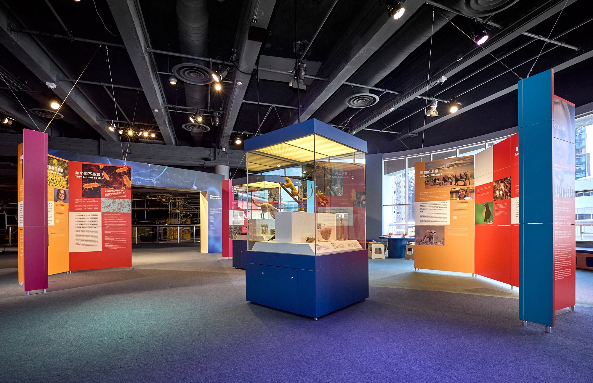 French Science Festival