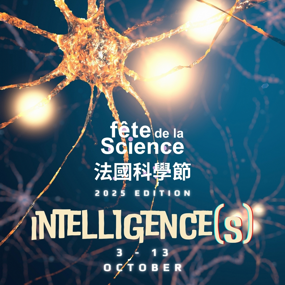 French Science Festival