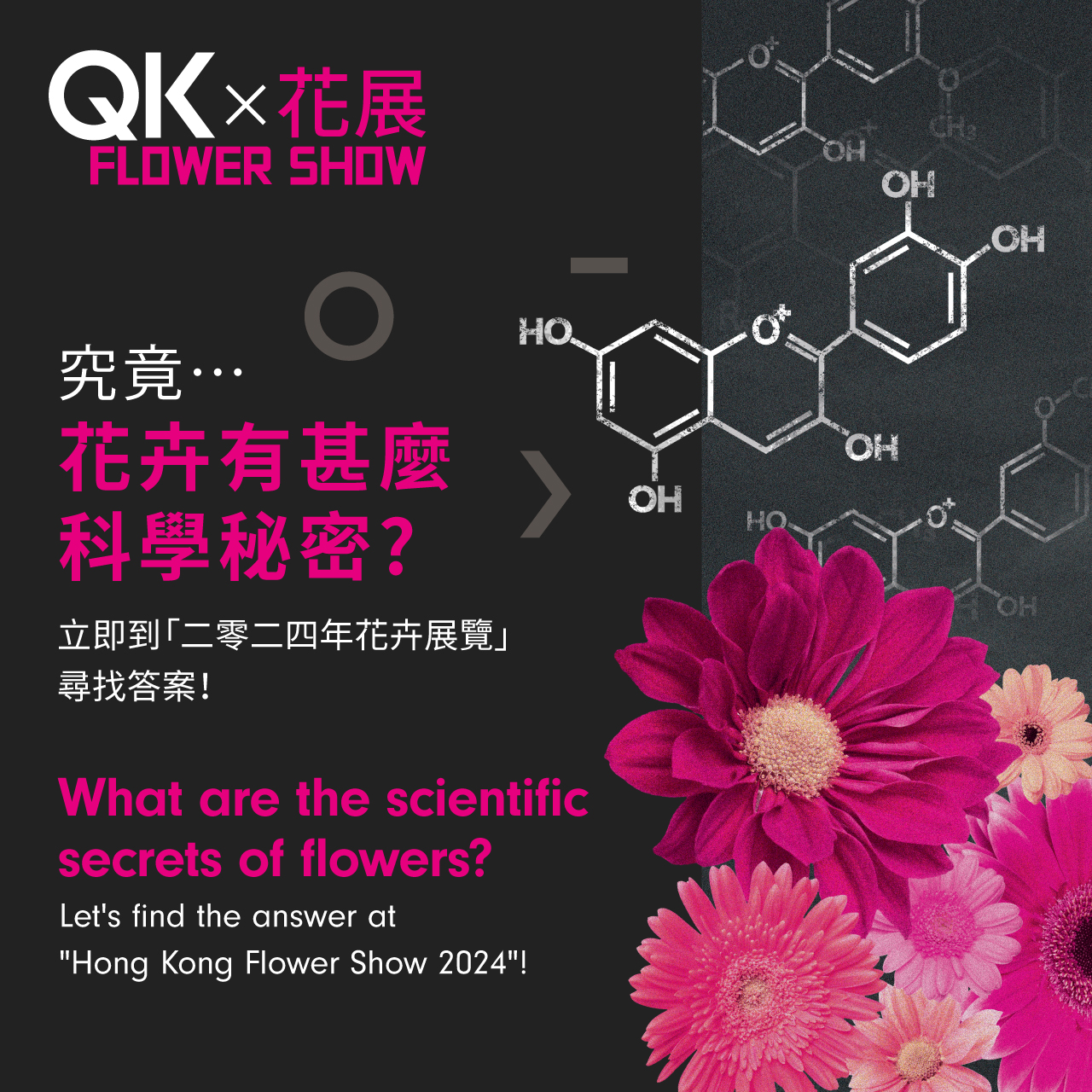 QK x Flower Show
